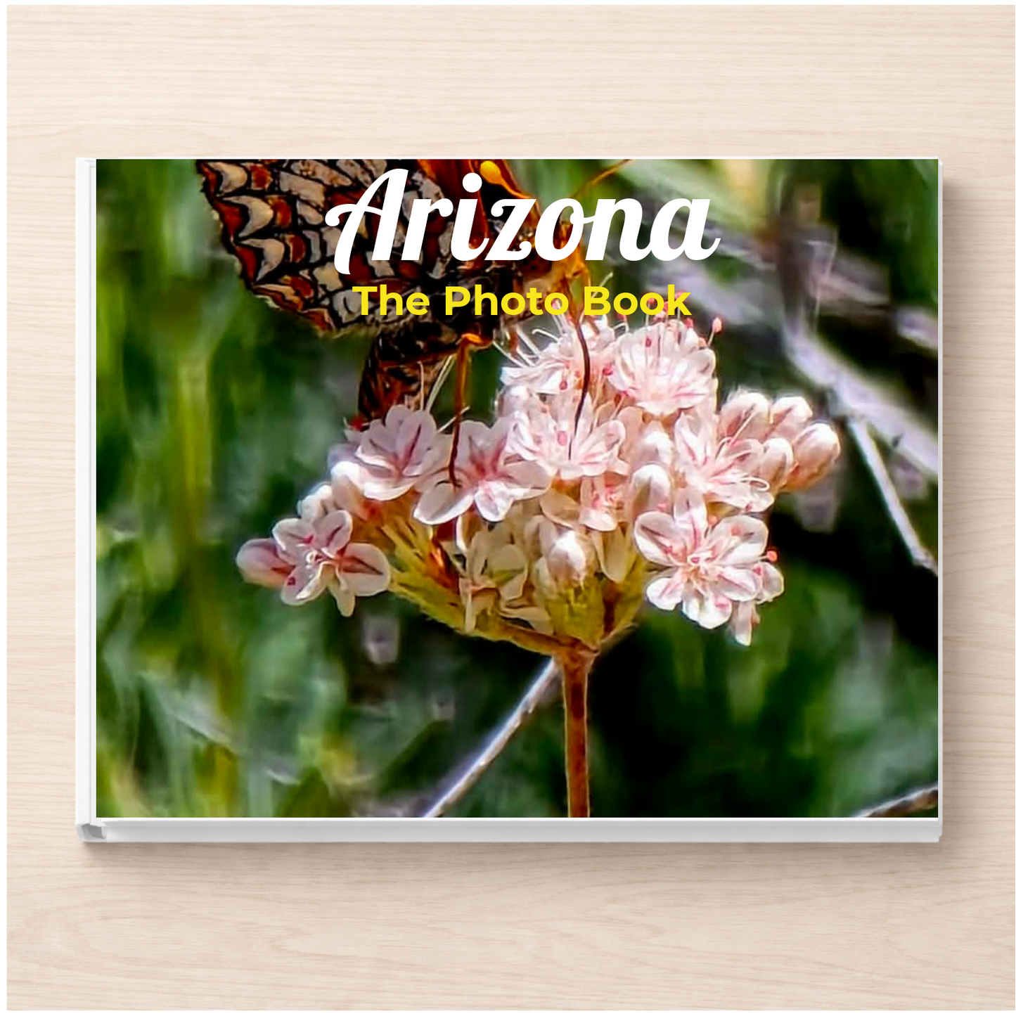Arizona: The Photo Book