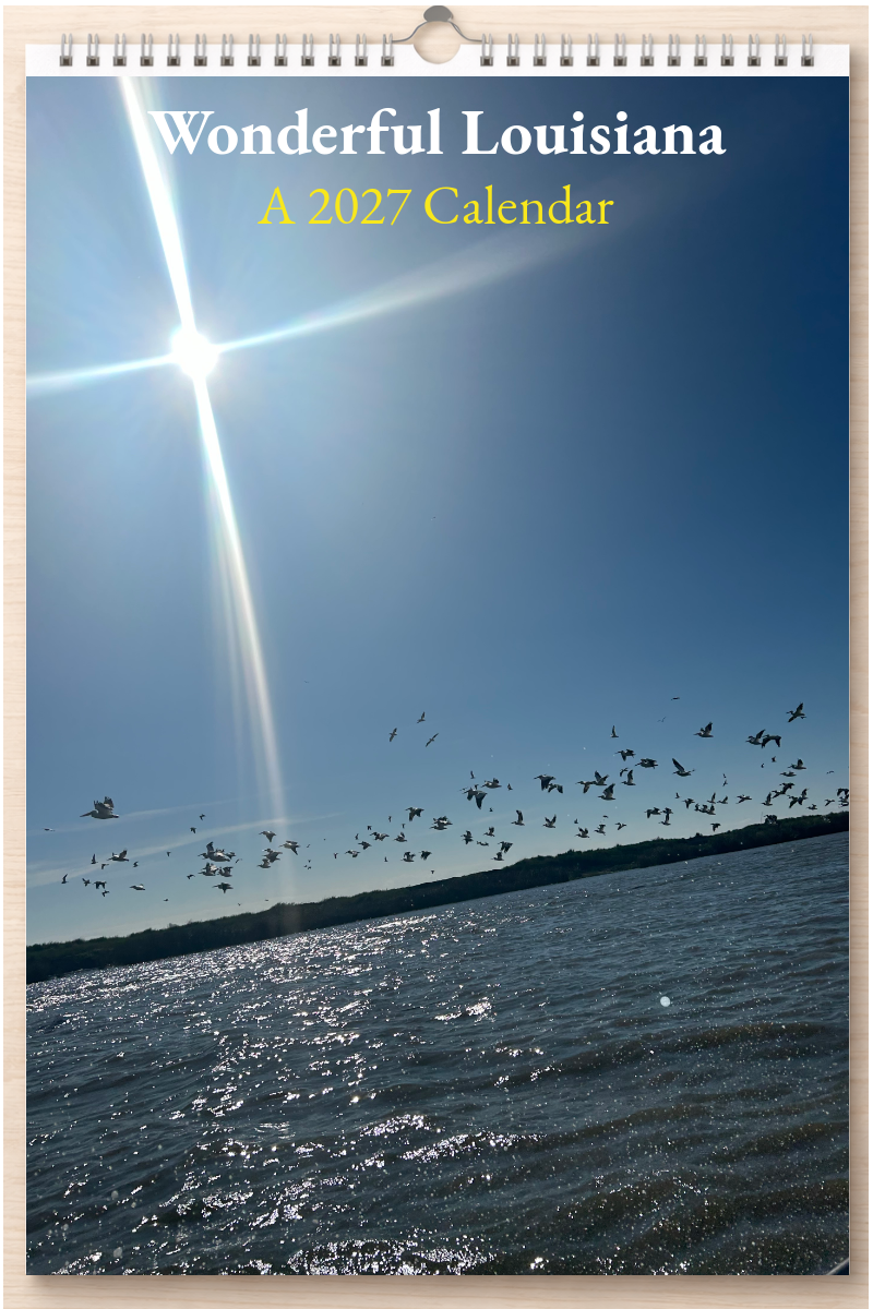 Wonderful Louisiana: A 2027 Calendar