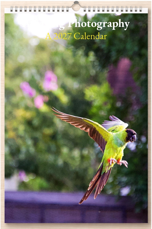 Amazing Photography: A 2027 Calendar