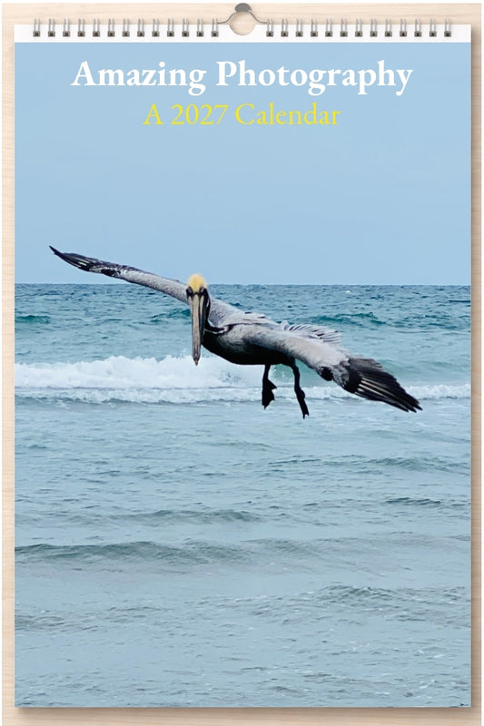 Amazing Photography: A 2027 Calendar