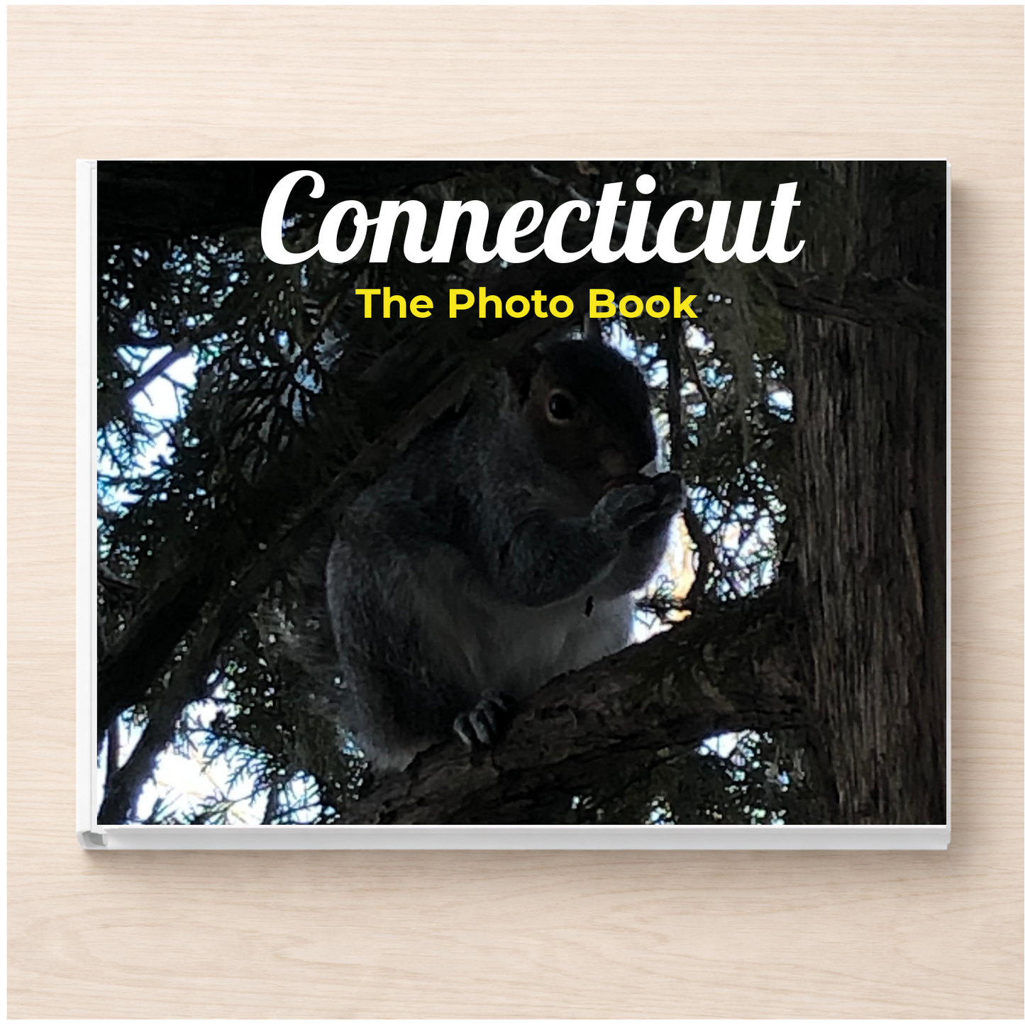 Connecticut: The Photo Book