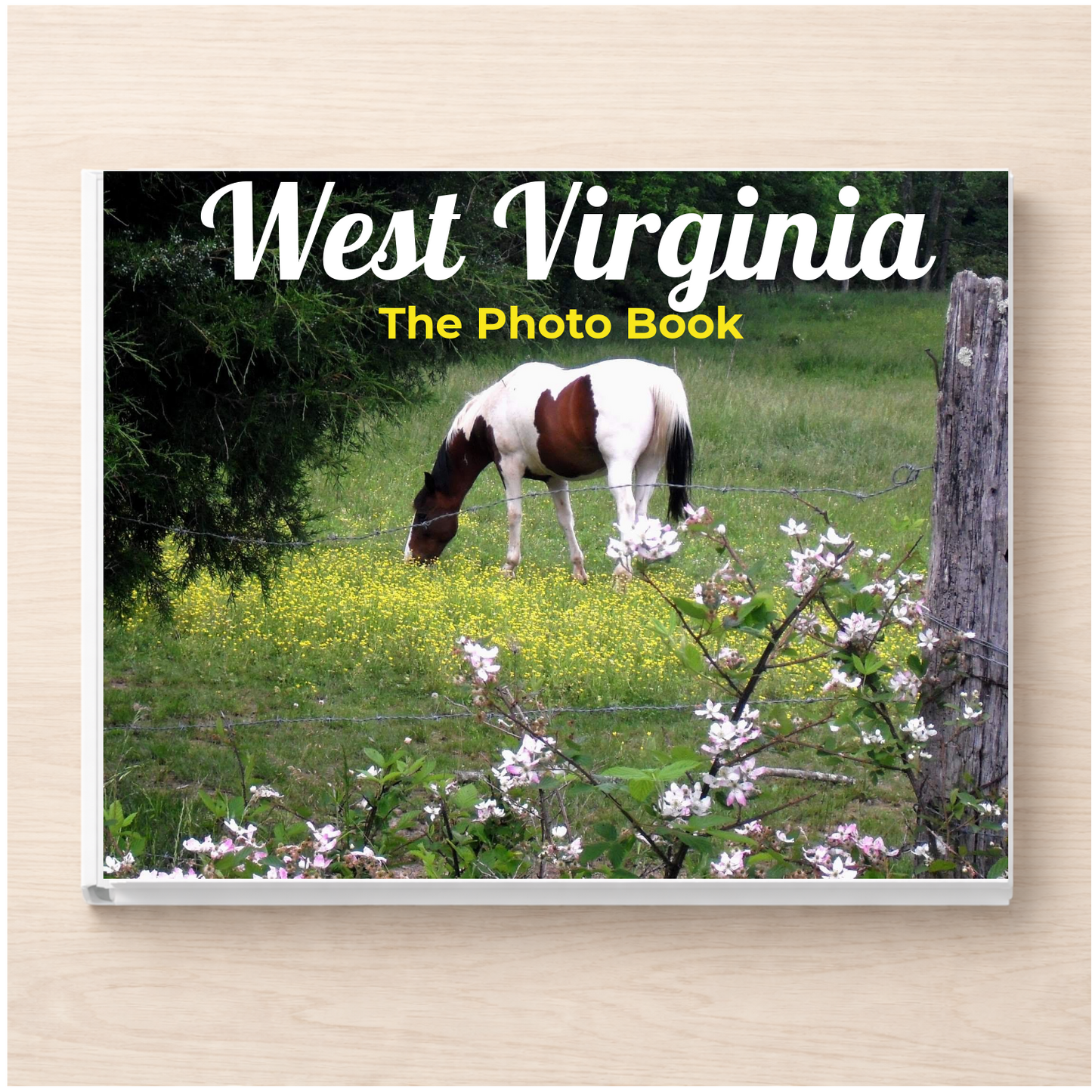 West Virginia: The Photo Book