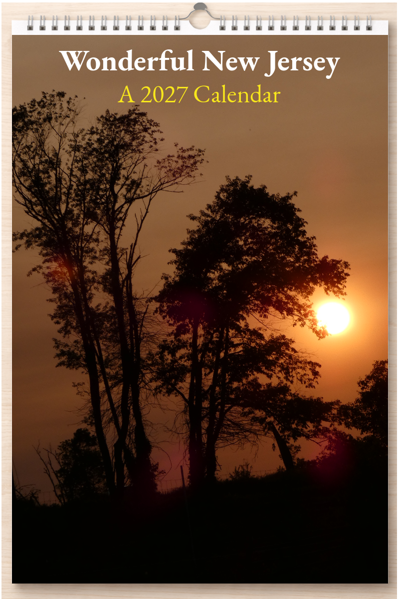 Wonderful New Jersey: A 2027 Calendar