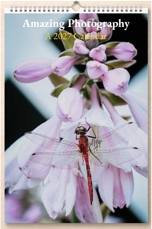 Amazing Photography: A 2027 Calendar