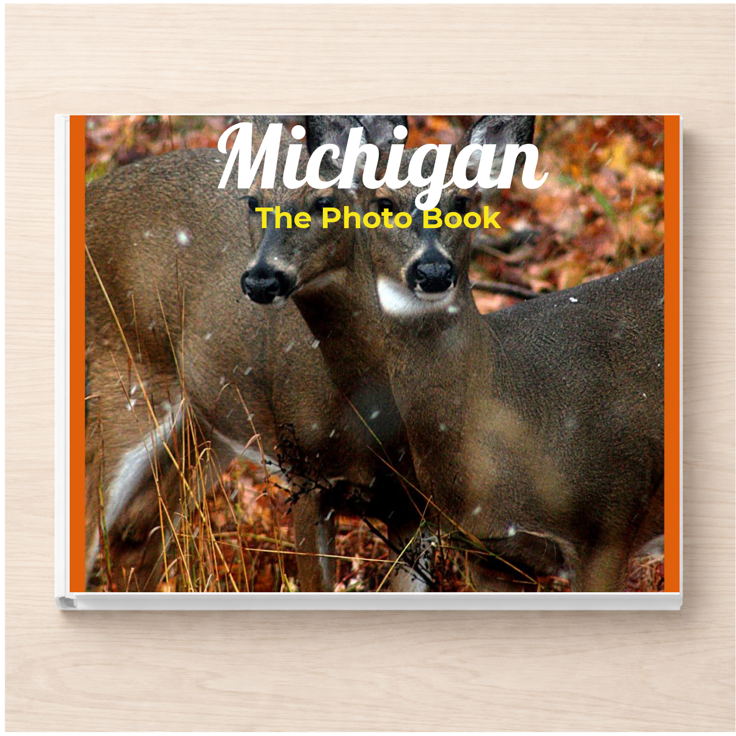 Michigan: The Photo Book