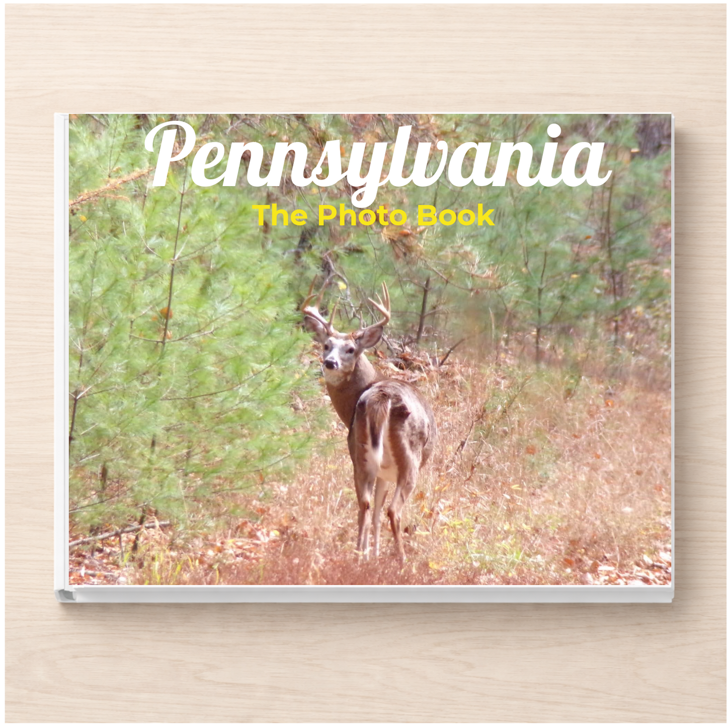 Pennsylvania: The Photo Book