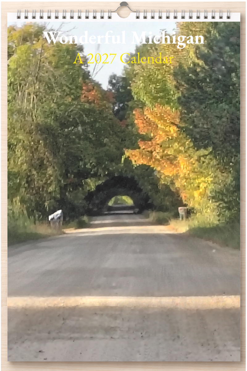 Wonderful Michigan: A 2027 Calendar