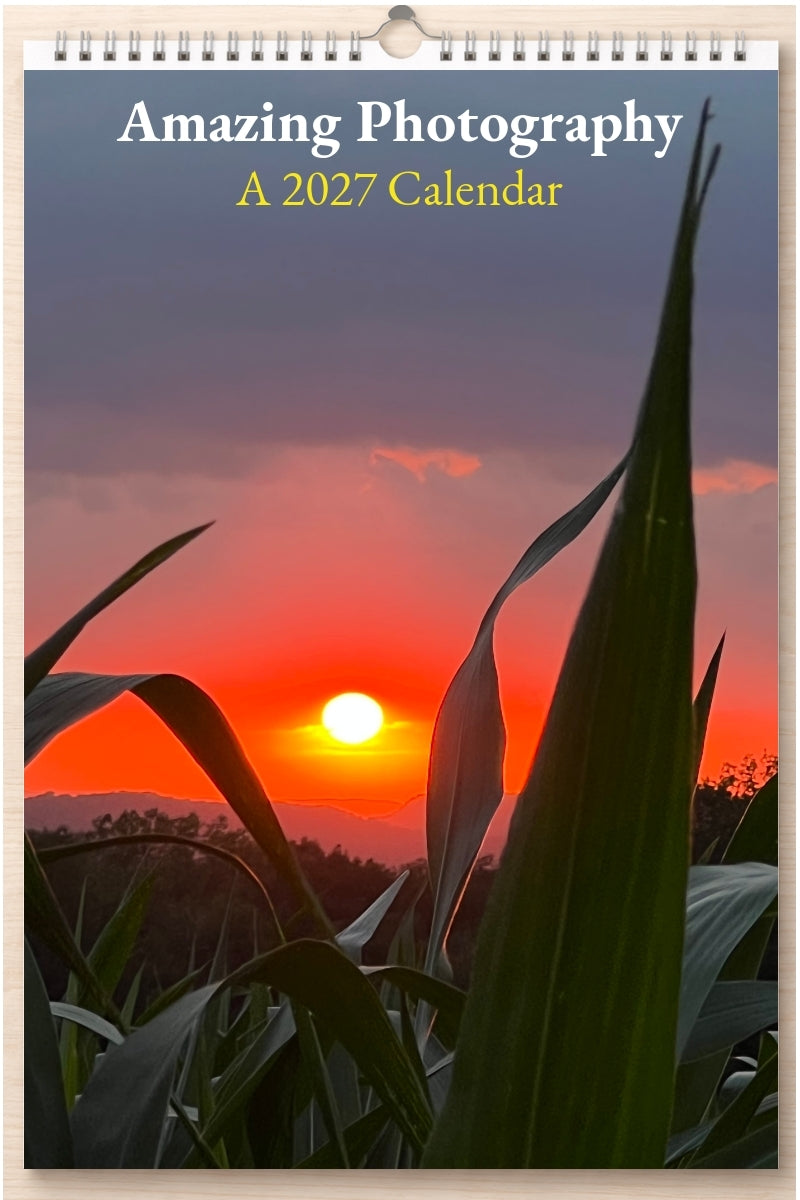 Amazing Photography: A 2027 Calendar