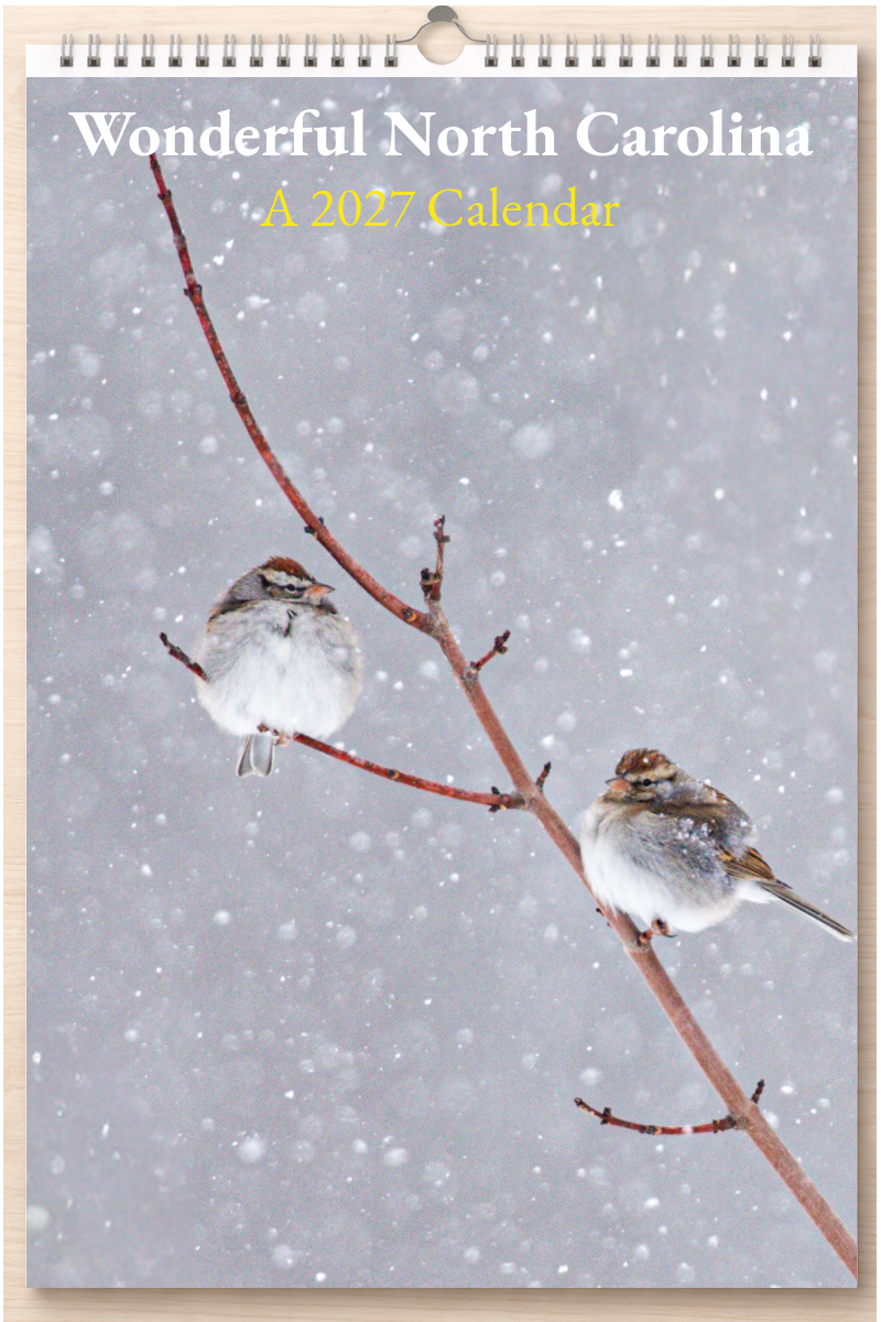 Wonderful North Carolina: A 2027 Calendar