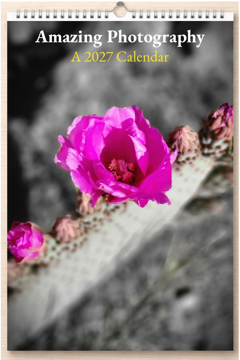 Amazing Photography: A 2027 Calendar