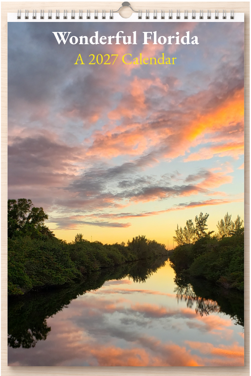 Wonderful Florida: A 2027 Calendar