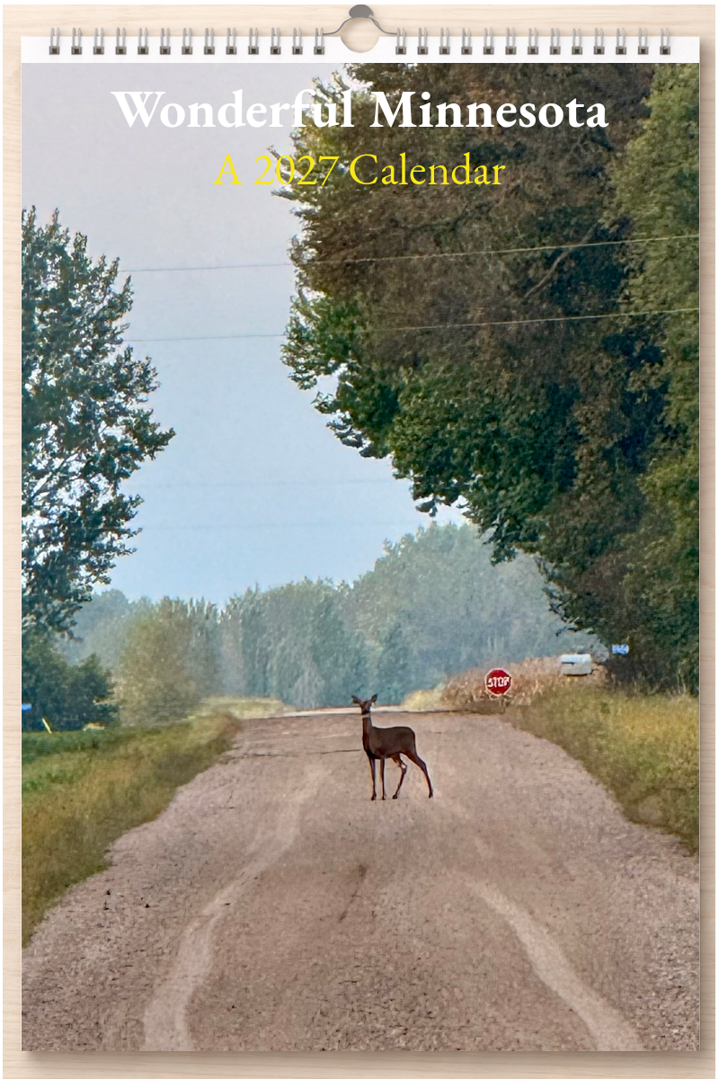 Wonderful Minnesota: A 2027 Calendar