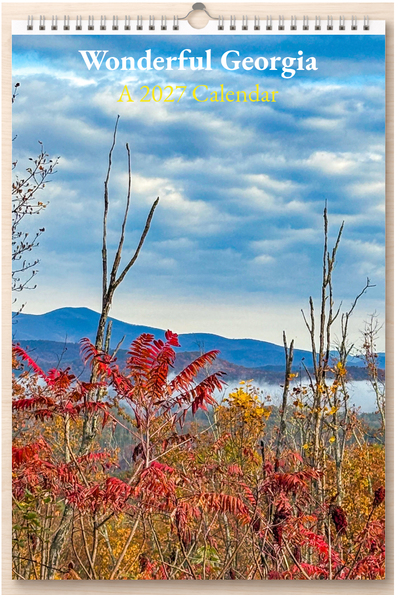 Wonderful Georgia: A 2027 Calendar
