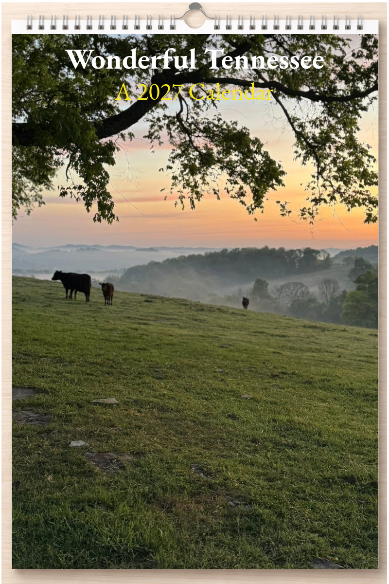 Wonderful Tennessee: A 2027 Calendar