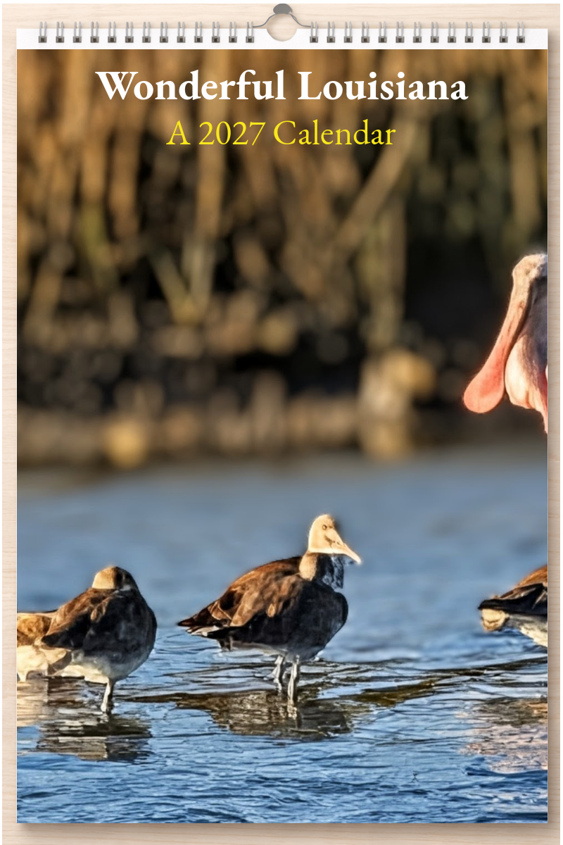Wonderful Louisiana: A 2027 Calendar