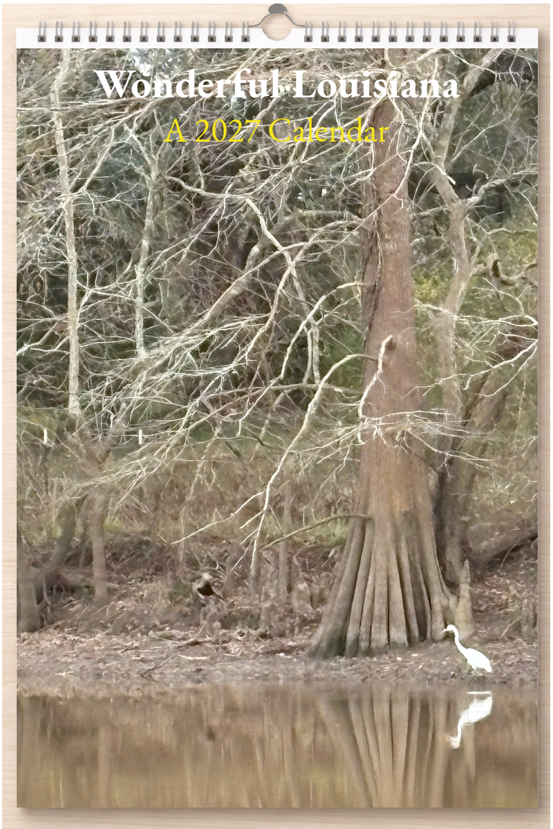 Wonderful Louisiana: A 2027 Calendar