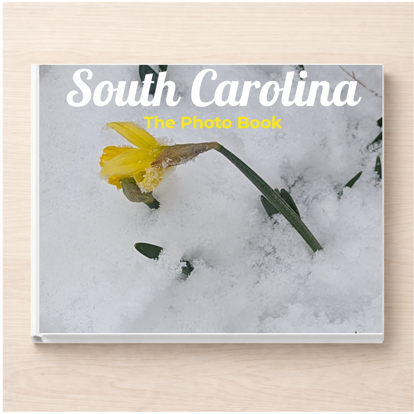 South Carolina: The Photo Book