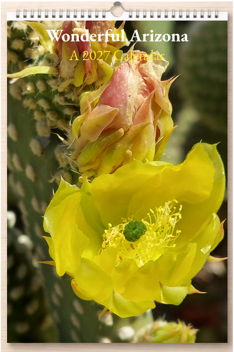 Wonderful Arizona: A 2027 Calendar