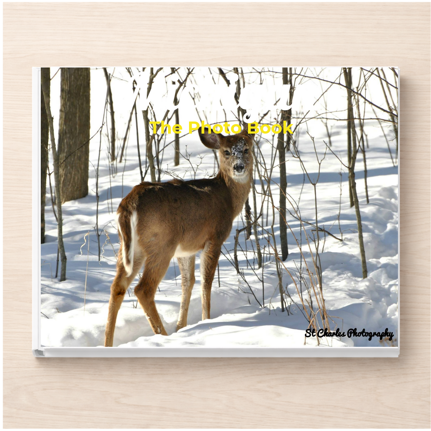 Michigan: The Photo Book