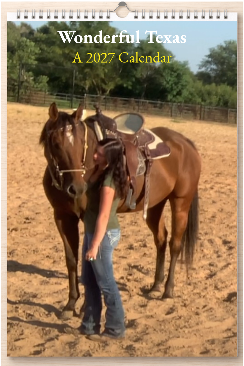Wonderful Texas: A 2027 Calendar