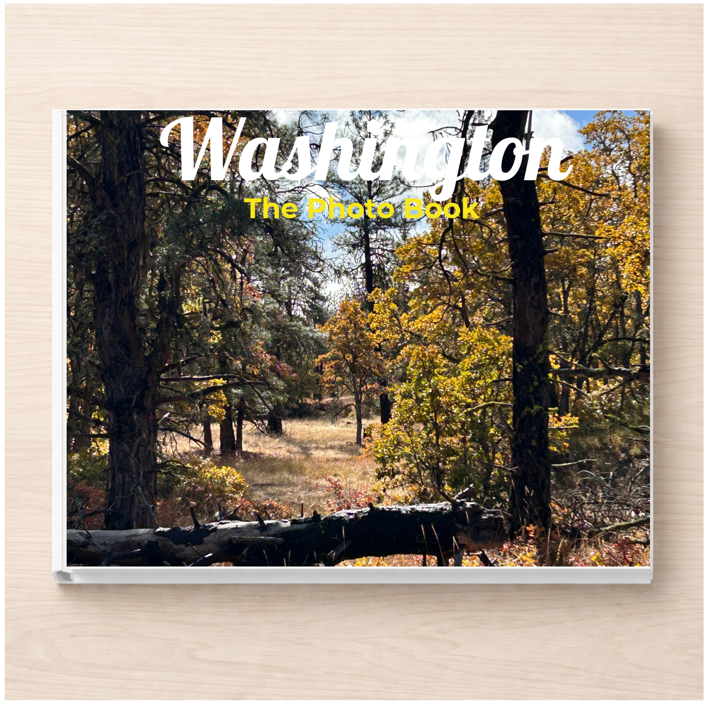 Washington: The Photo Book