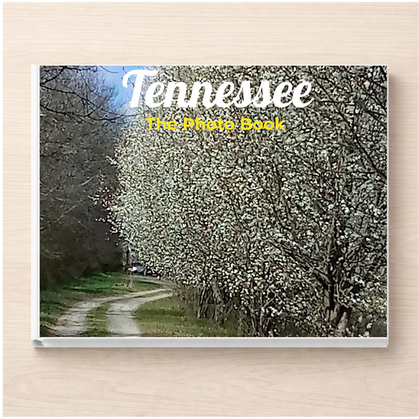 Tennessee: The Photo Book
