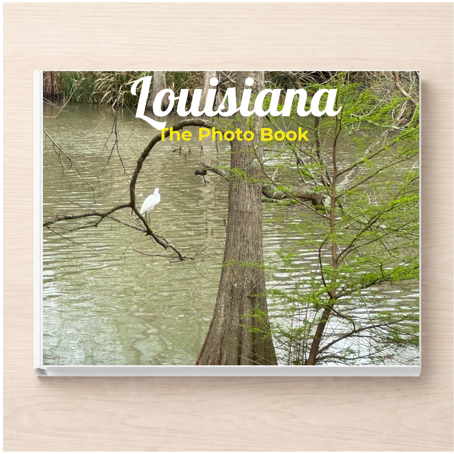 Louisiana: The Photo Book