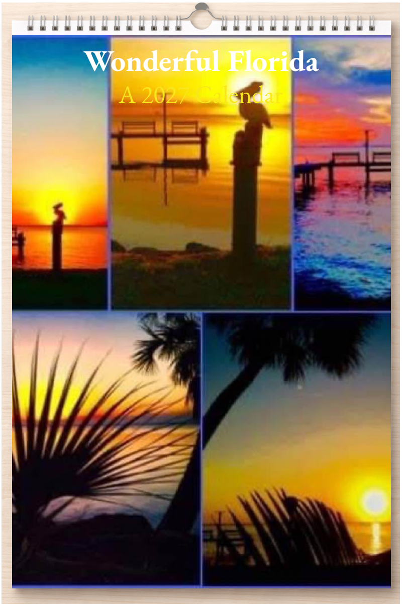 Wonderful Florida: A 2027 Calendar