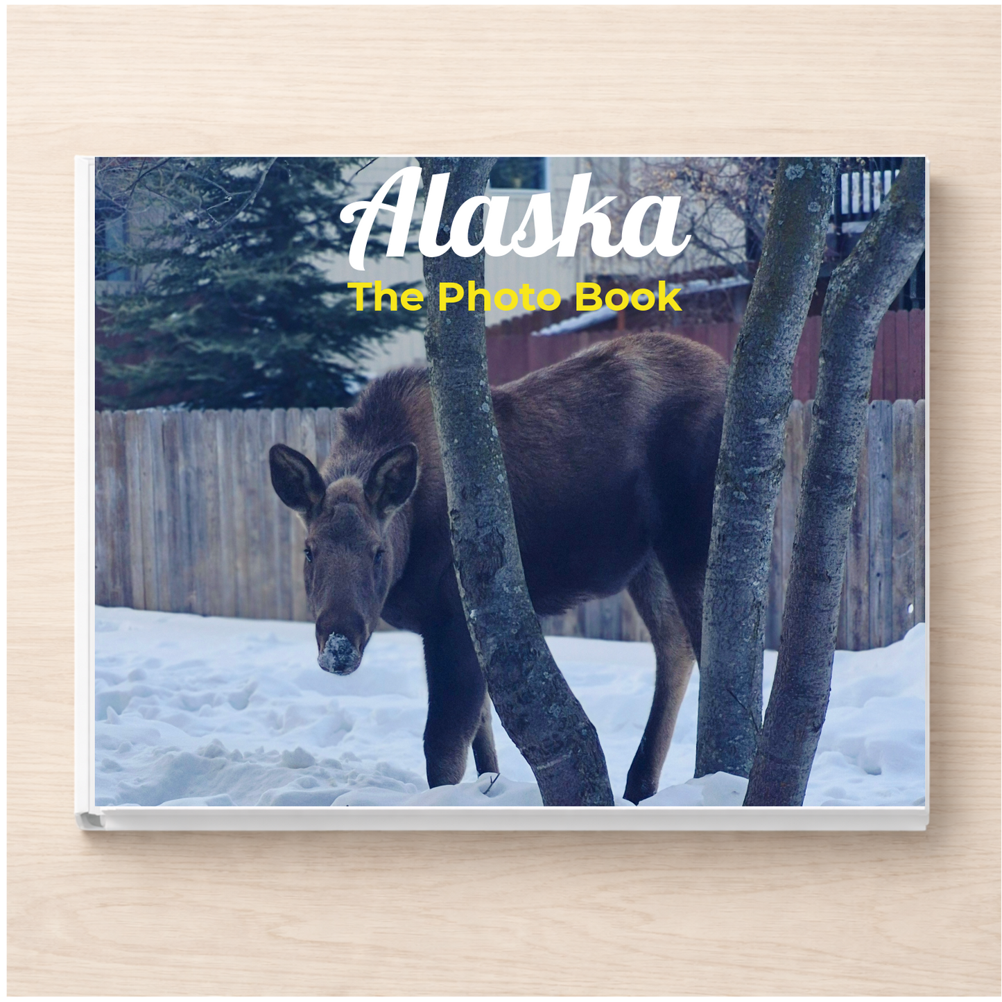 Alaska: The Photo Book