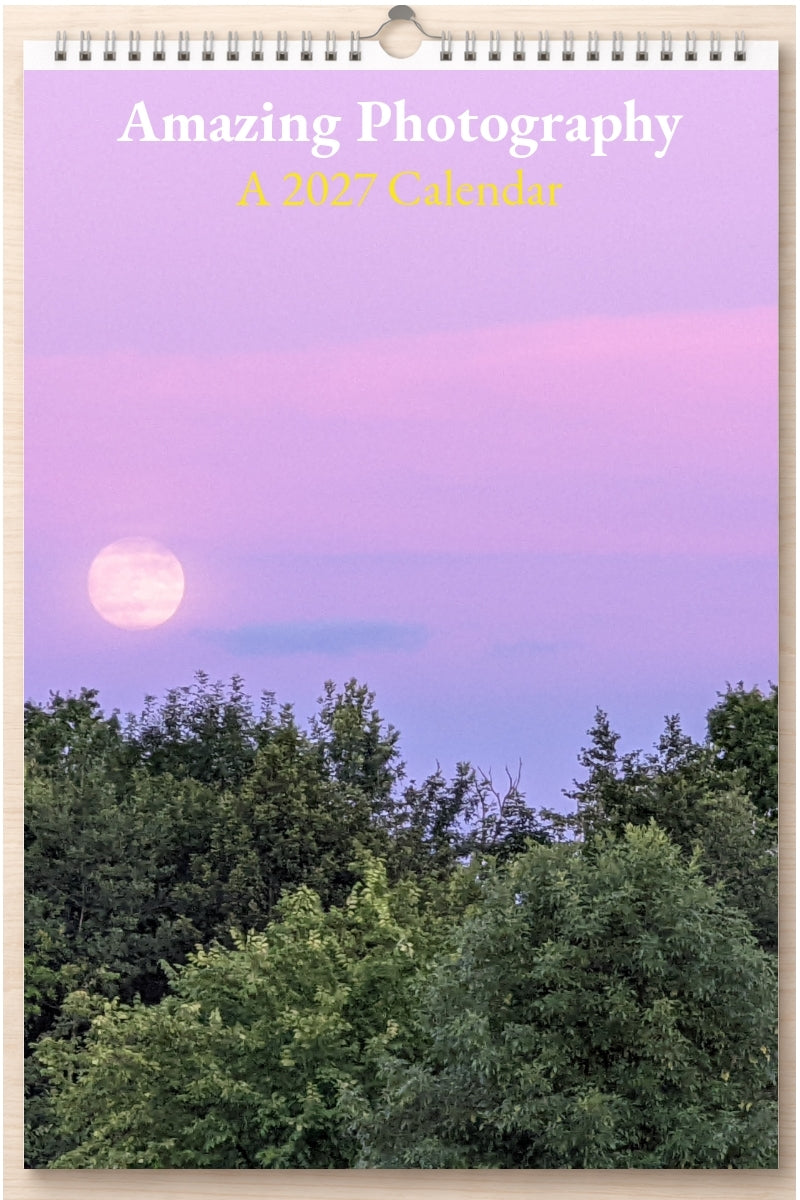 Amazing Photography: A 2027 Calendar