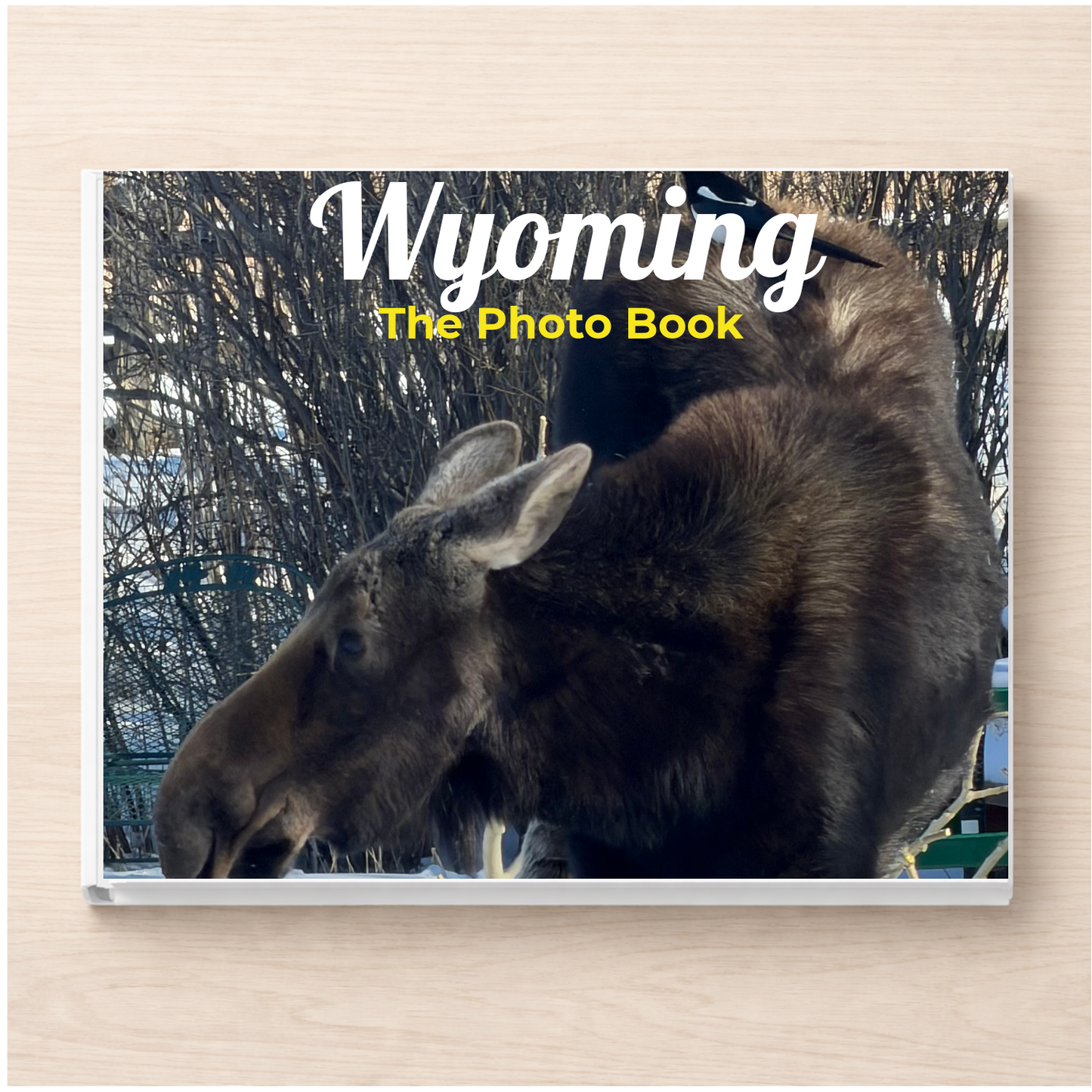 Wyoming: The Photo Book