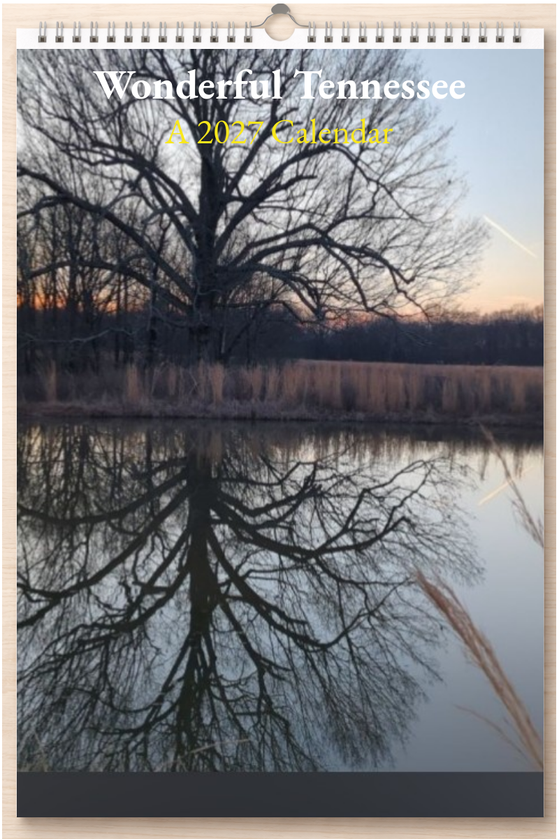 Wonderful Tennessee: A 2027 Calendar