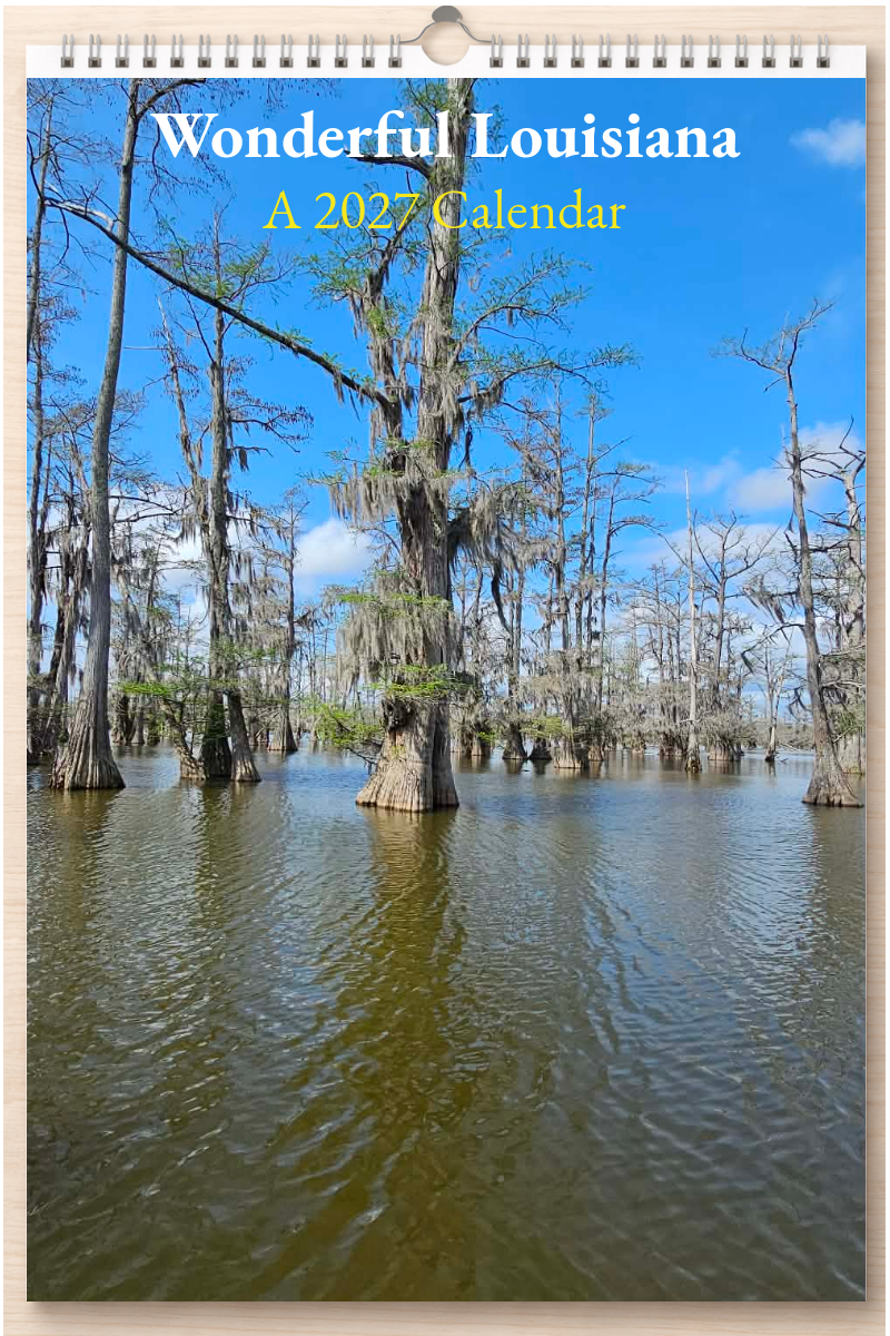 Wonderful Louisiana: A 2027 Calendar