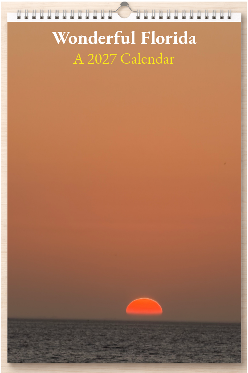 Wonderful Florida: A 2027 Calendar
