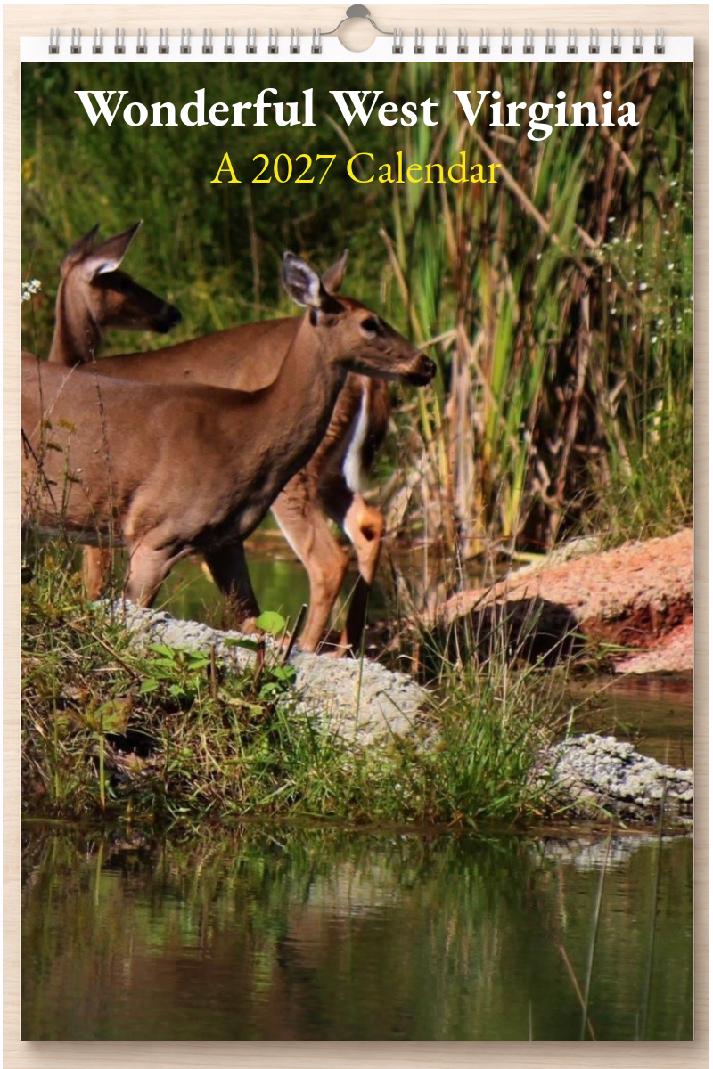 Wonderful West Virginia: A 2027 Calendar
