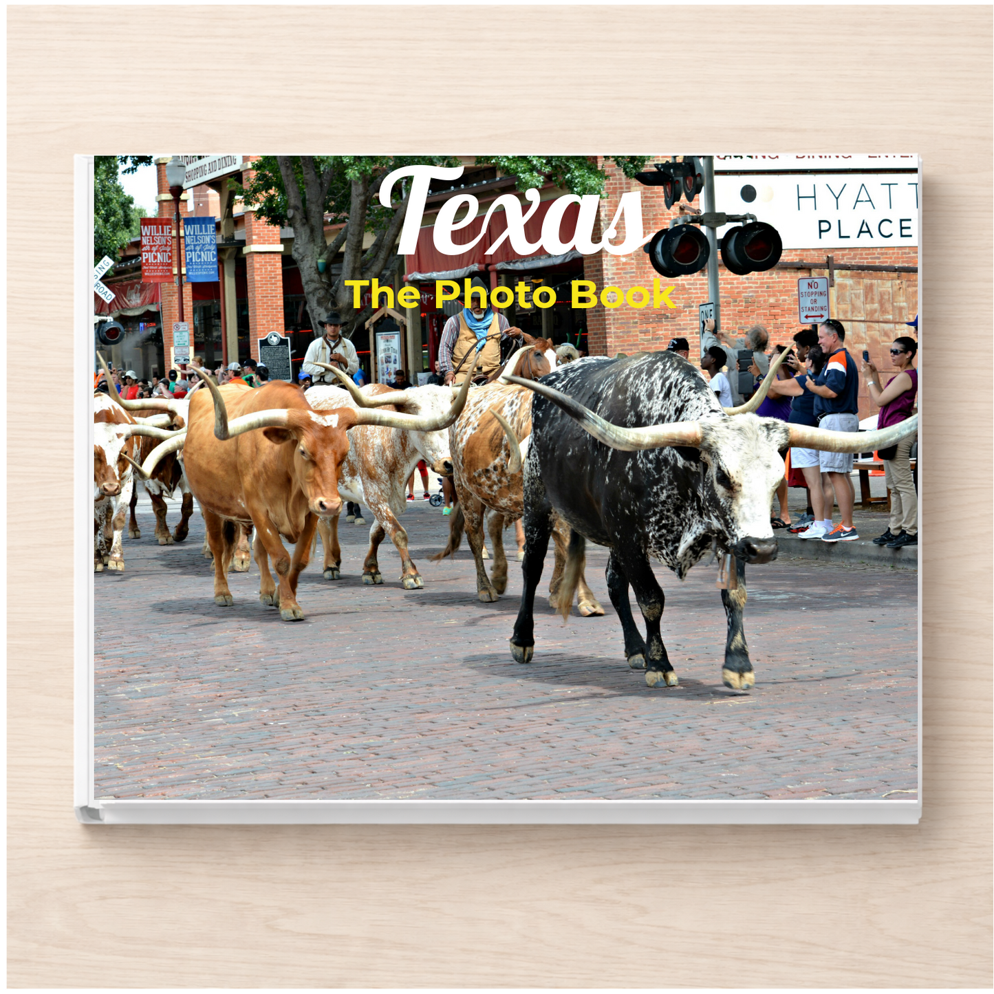 Texas: The Photo Book