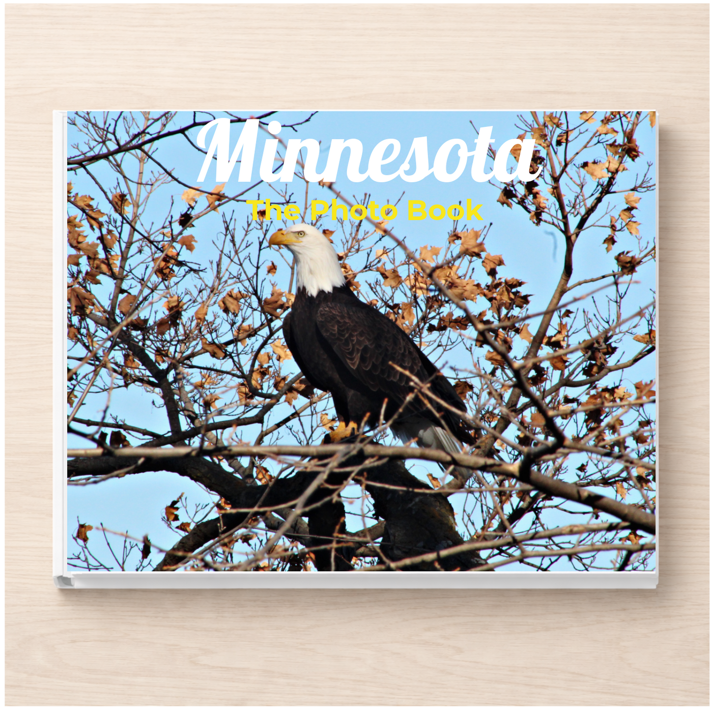 Minnesota: The Photo Book