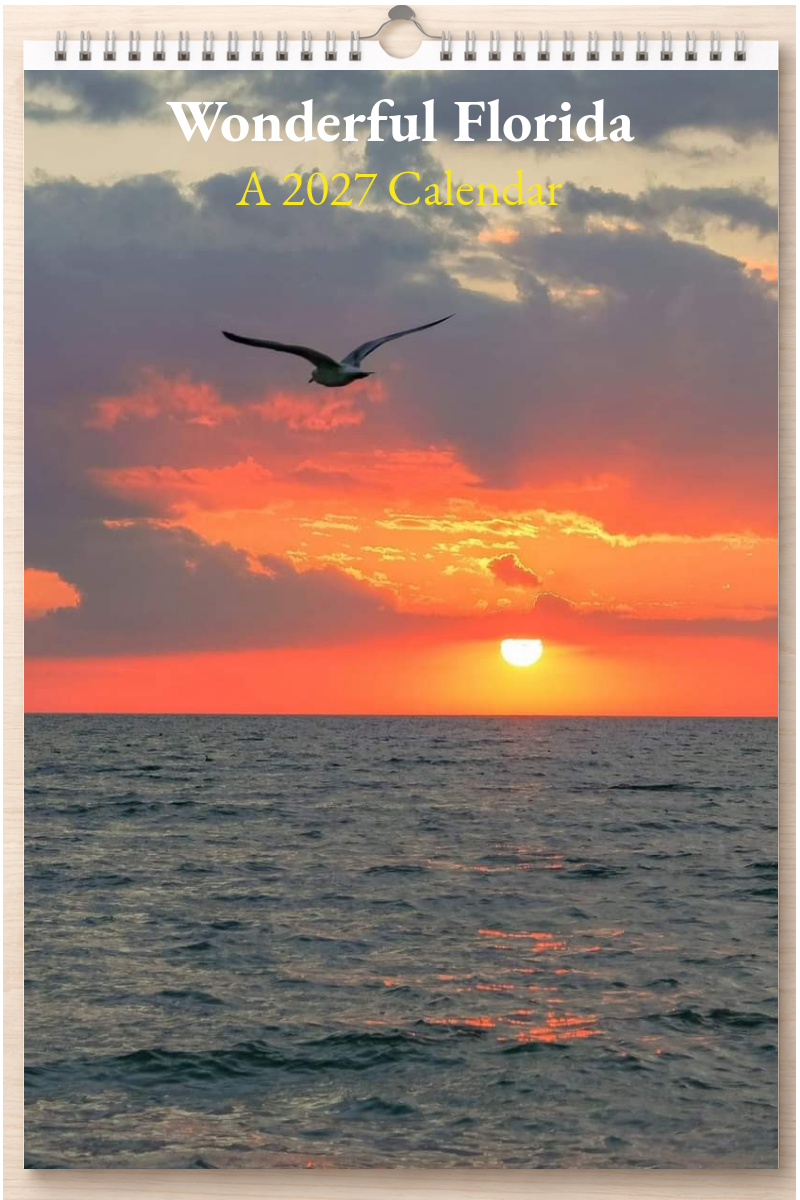 Wonderful Florida: A 2027 Calendar