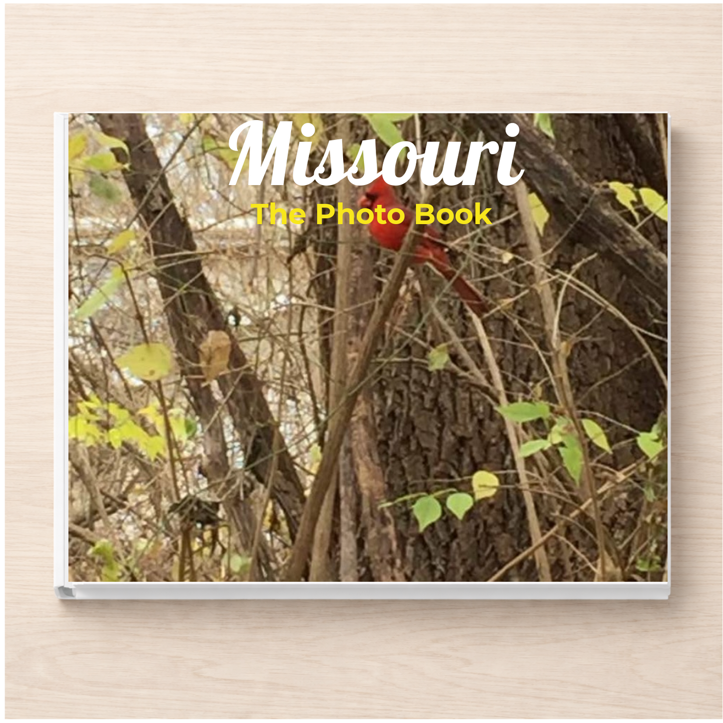 Missouri: The Photo Book