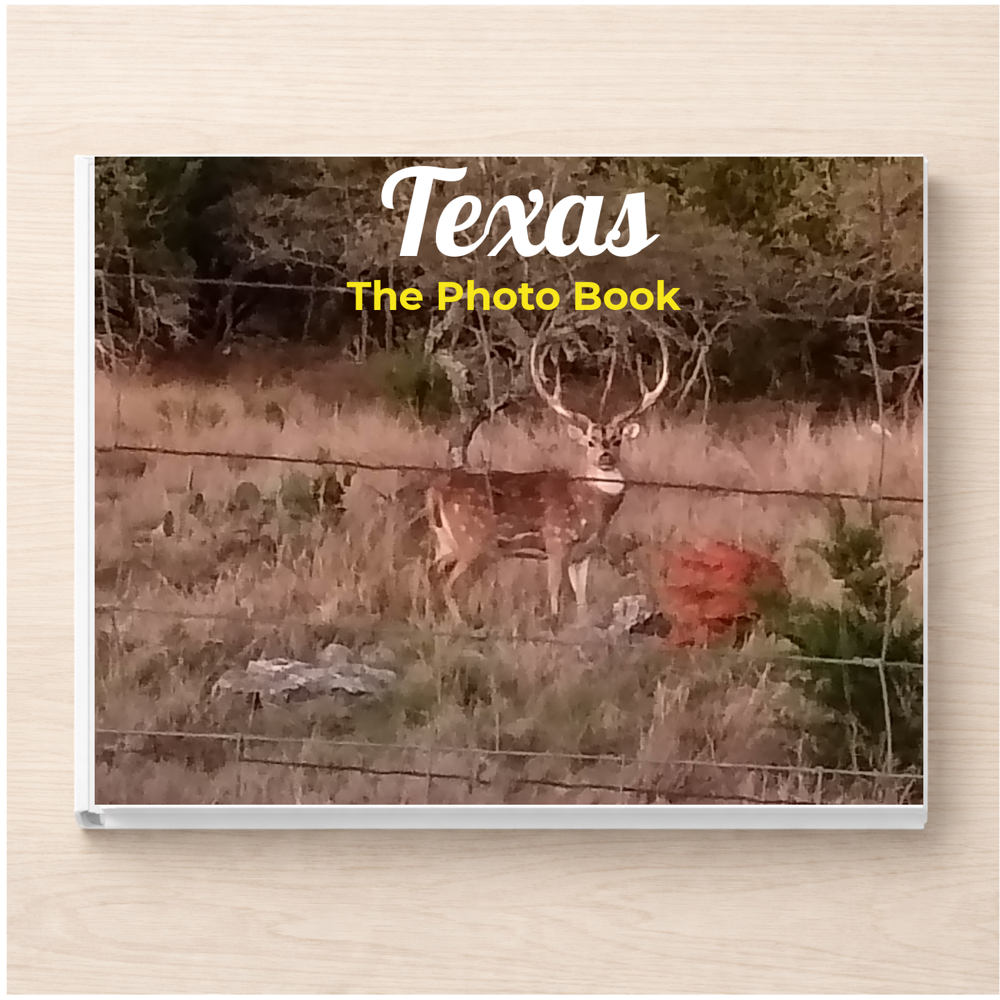 Texas: The Photo Book