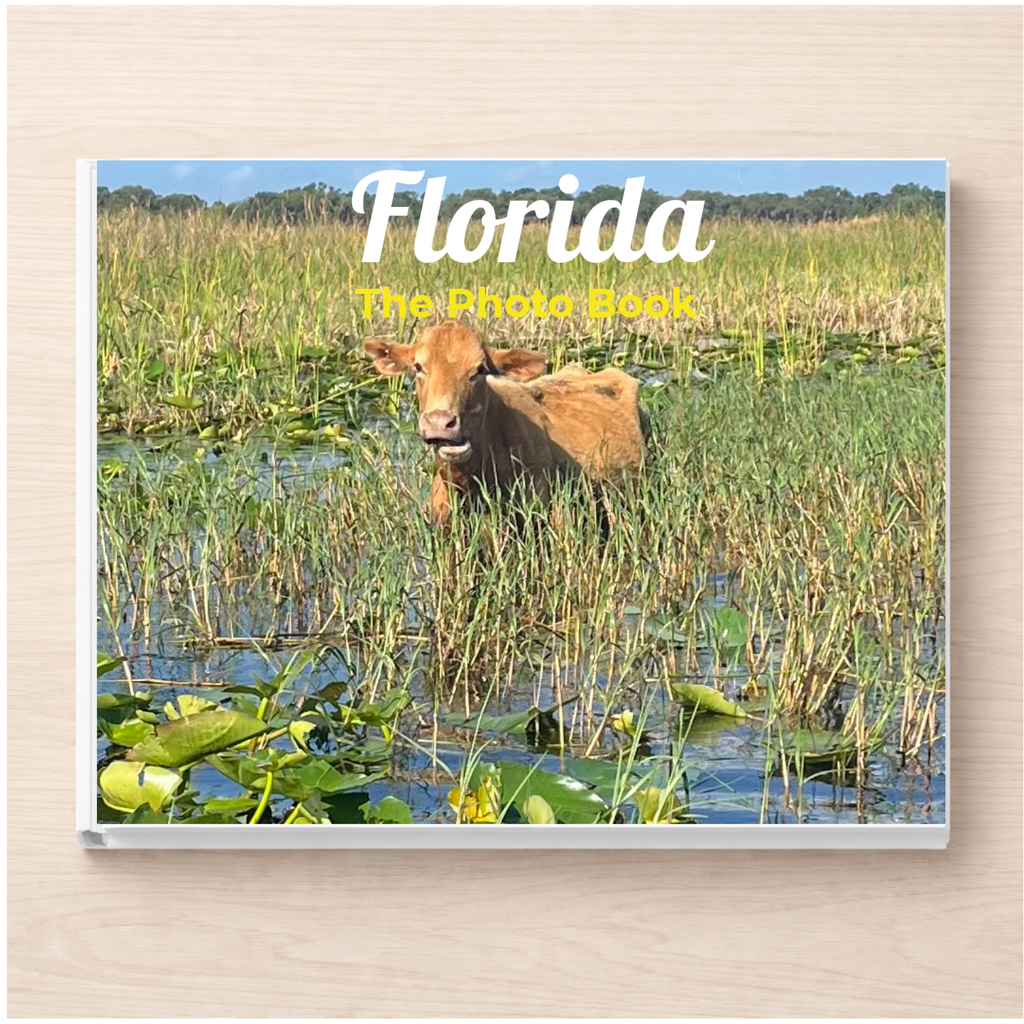 Florida: The Photo Book