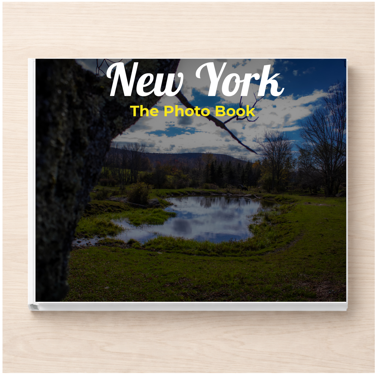 New York: The Photo Book