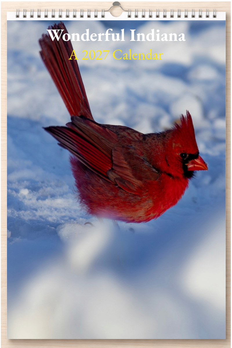 Wonderful Indiana: A 2027 Calendar