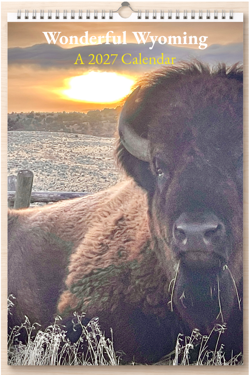 Wonderful Wyoming: A 2027 Calendar
