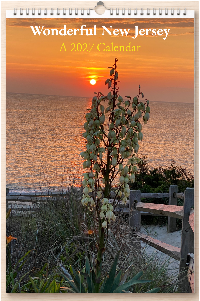 Wonderful New Jersey: A 2027 Calendar