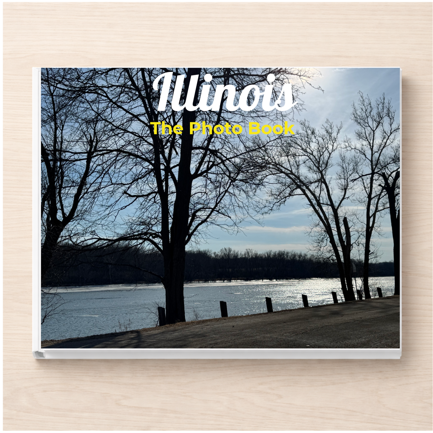 Illinois: The Photo Book