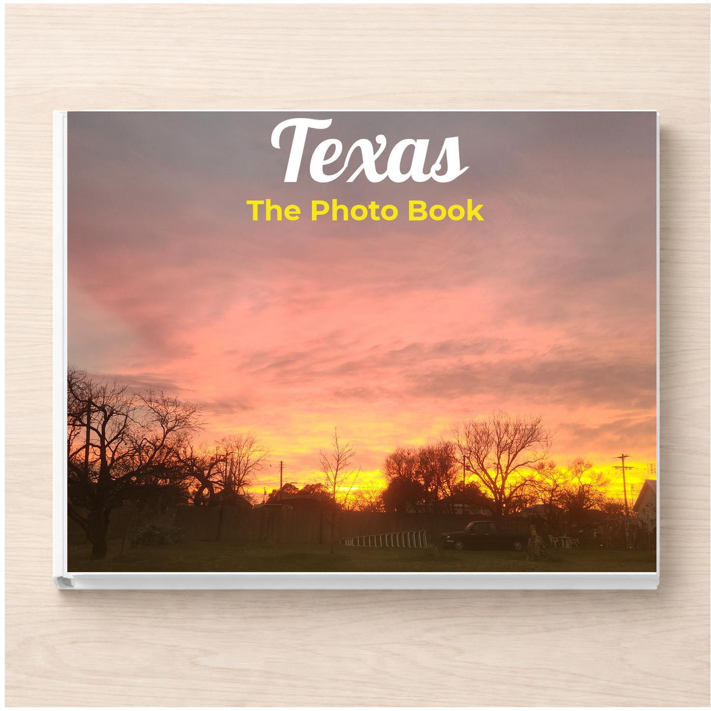 Texas: The Photo Book