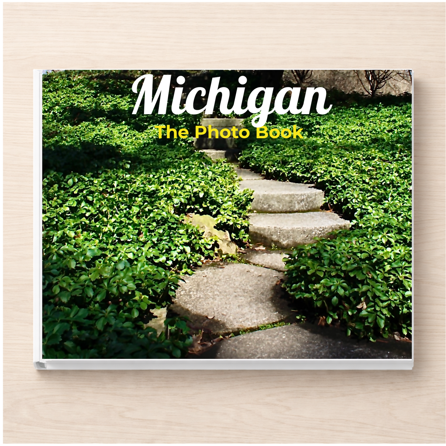 Michigan: The Photo Book