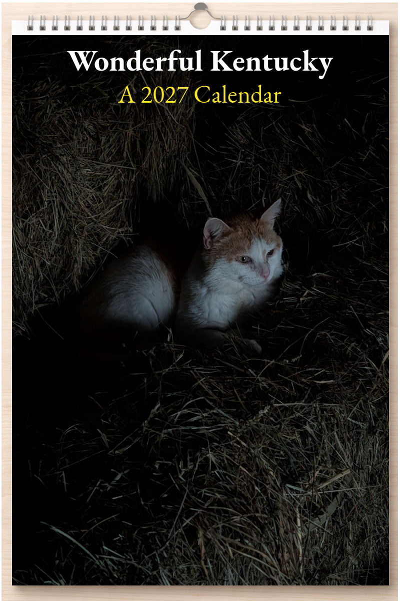 Wonderful Kentucky: A 2027 Calendar