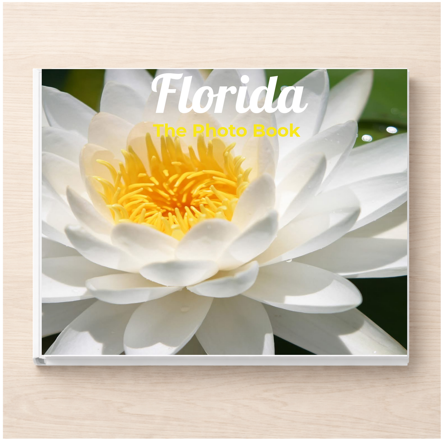 Florida: The Photo Book